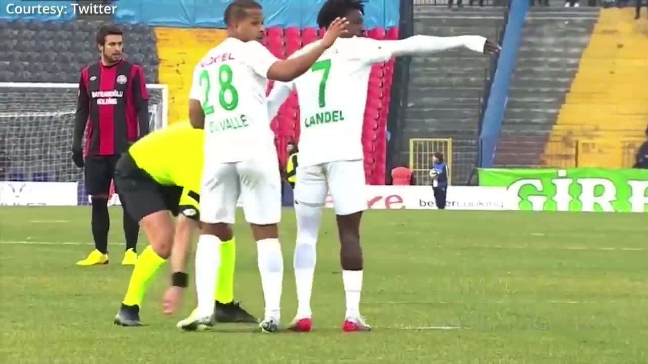 How a dog brought a football match 1