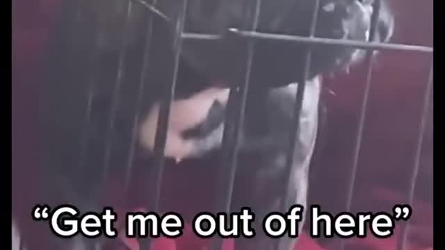 let me out😣