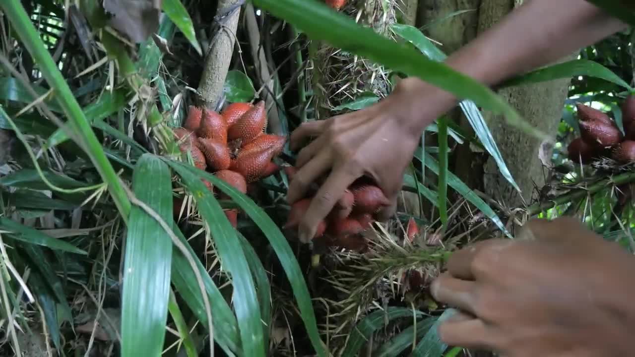 Meet the goat, and rich fruits cooking eating in jungle | Primitive technology-9