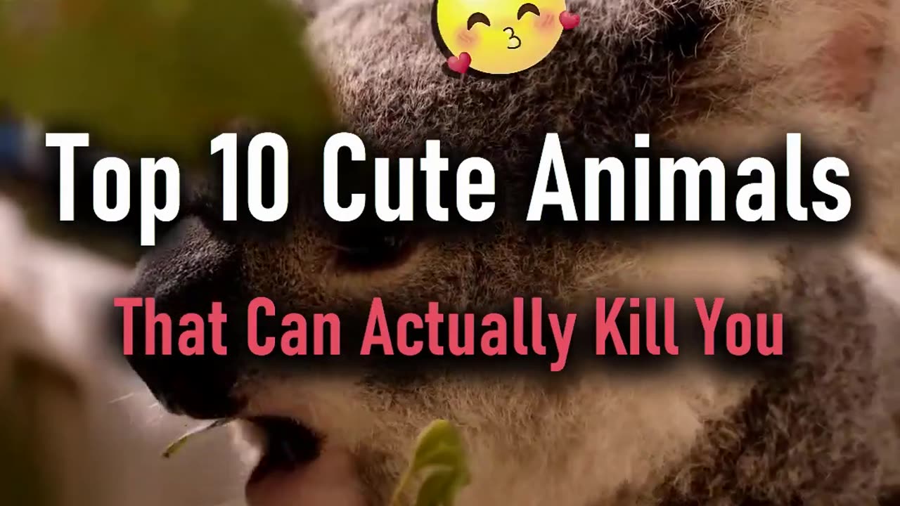 Top 10 Cute Animals That Can Actually Kill You