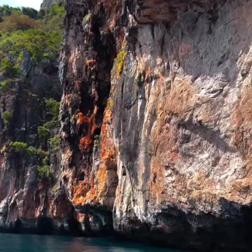 🌿✨ Nature's Wonder ✨🌿