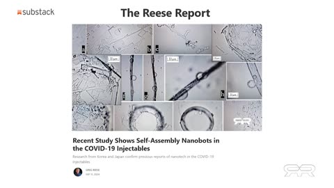 Reese Report 11.25.24