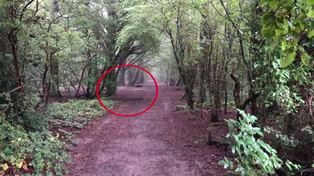 Ghostly figure seen on camera by spooky children's swing