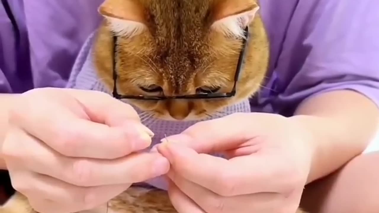 kid vs thread needle