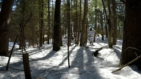 Solo Winter Bushcraft: Overnight in an Elevated Shelter-11