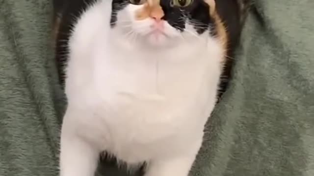 IM FUC++D ππ₯°πΎπ