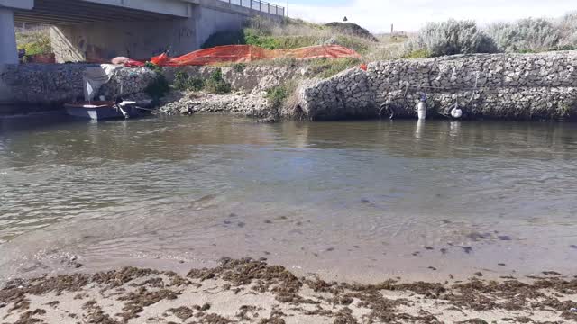 Walking on the beach between the river and the sea