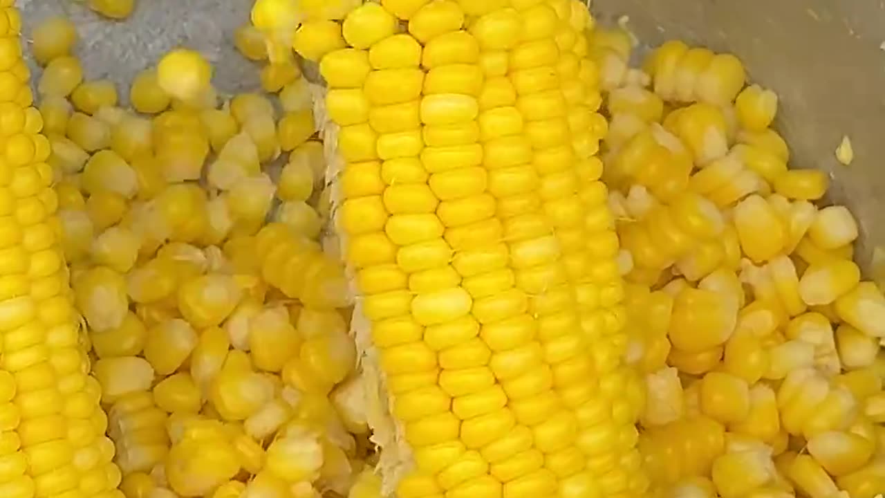 Sweet Corn