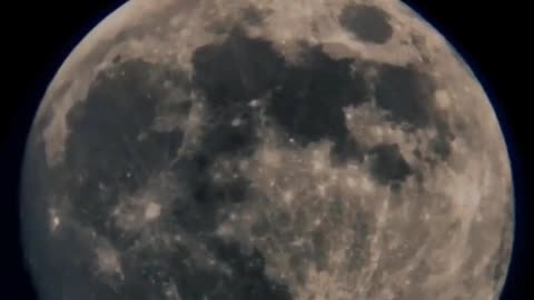 A full moon hangs in the sky