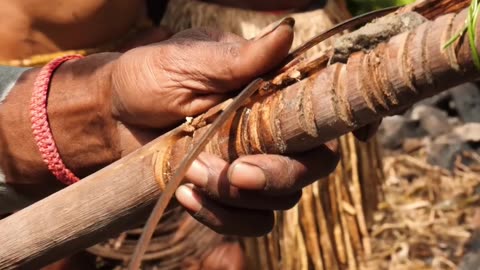 Discover Ancient Survival: Tools and Techniques from the Jungle
