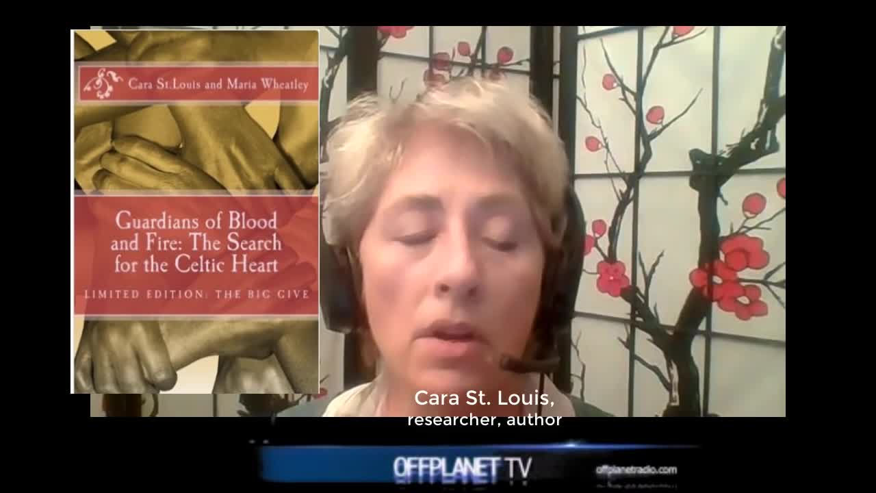 Cara St Louis The Sovereign Imagination Ending The Predatory Mind 1