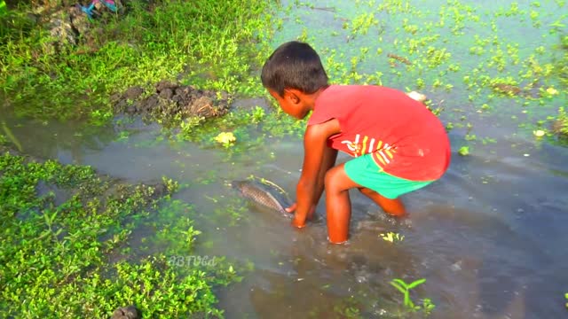 y2mate.com - amazing hand fishing smart boy catching fish by hand traditional hand fishing video_