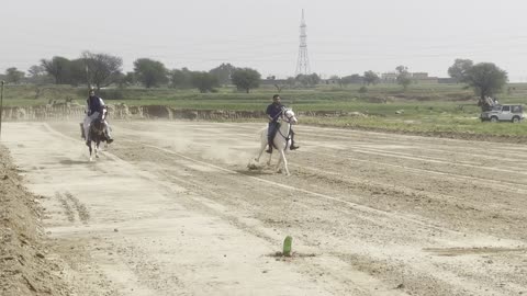 "Mastering the Art: Tent Pegging Practice for Upcoming Competition in Pakistan"