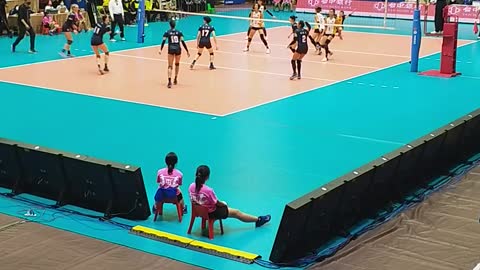 Taiwan volleyball championship game