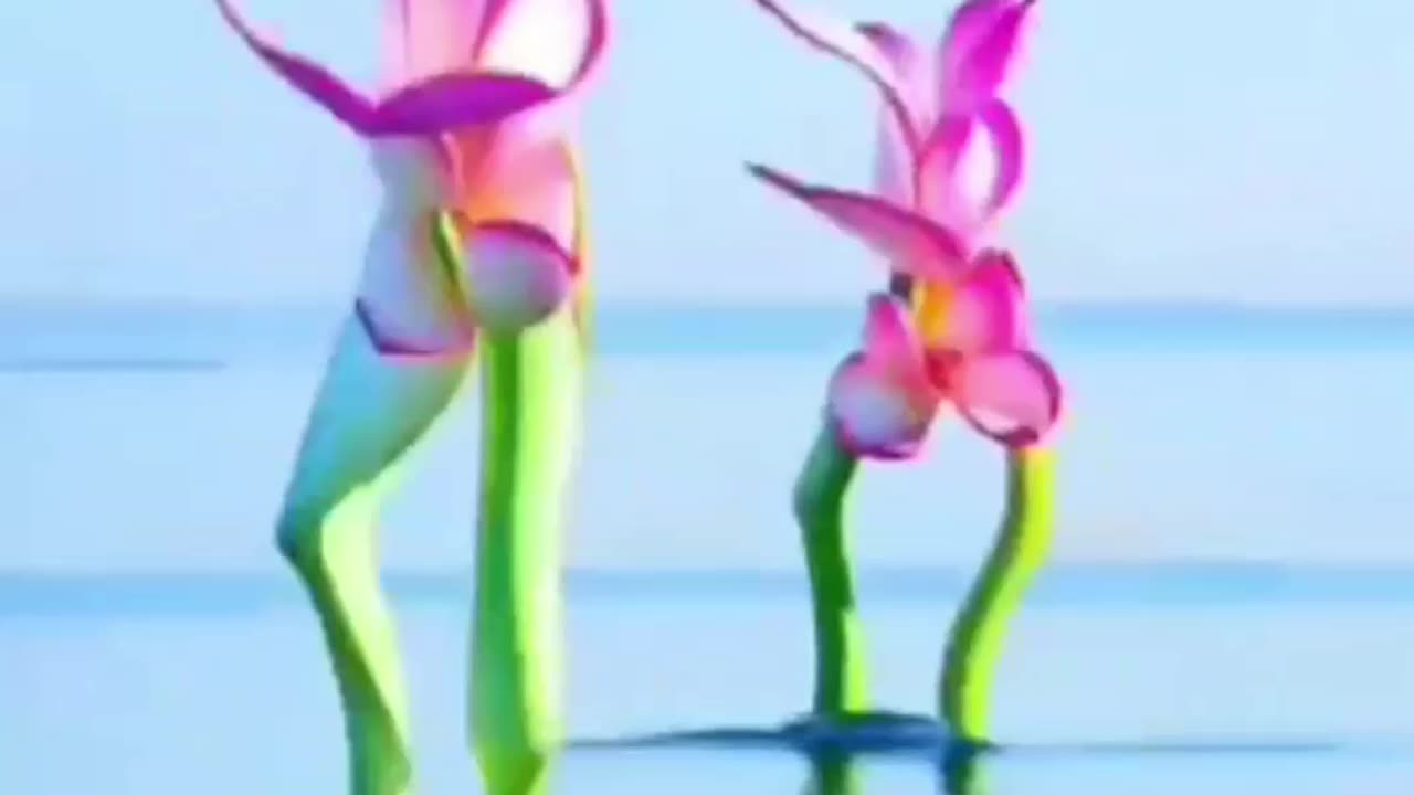 Amazing dance video