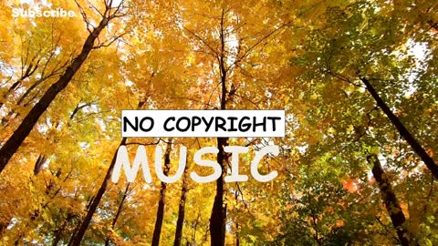 No Copyright Music (Royalty Free)