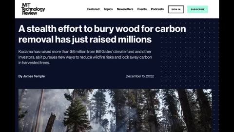 THIS IS HOW BAD THEY WANT US DEAD- THEIR NEWEST IDEA IS TO BURN - BURY TREES TO SUFF0CATE US-