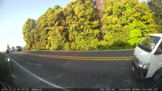 Wandering Cow Created Traffic Jam