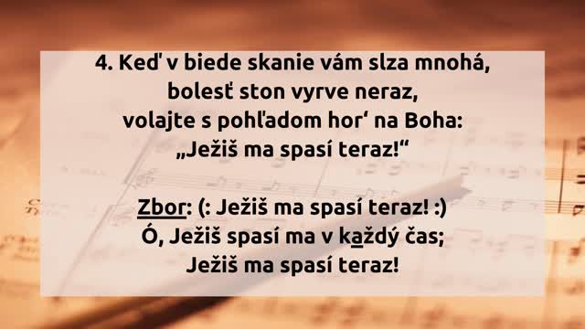 176. Len jednu vetu