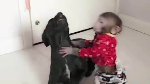 If you hit me, I'll bite you