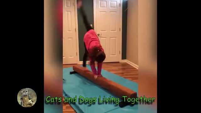 Cats and Dogs Living Together #3