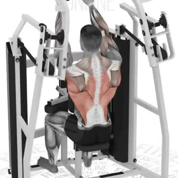 Best Back Workouts For Men And Women