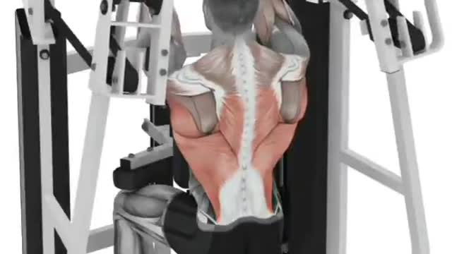 Best Back Workouts For Men And Women