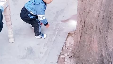 baby playing cat