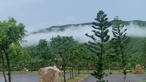 Foggy landscape on mountain top