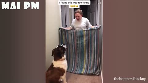 Best of FUNNY DOG videos that will make you LAUGH YOUR HEAD OFF
