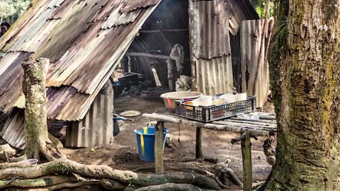 BHC-LIBERIA_ Emerging from the Shadows_ - Documentary