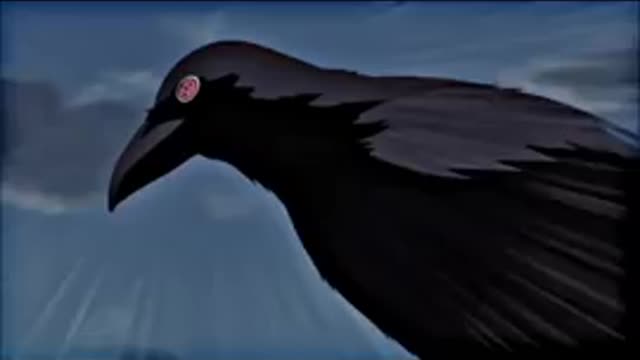 Do you want a crow with camera eyes 👀