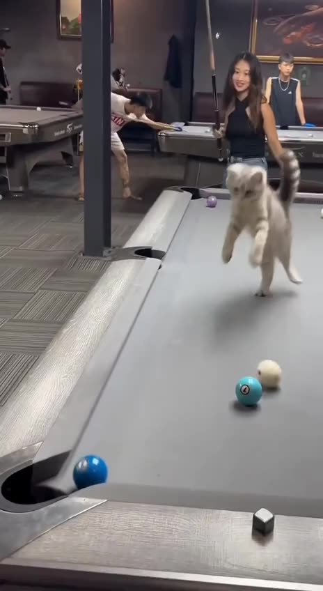 Still counts I think 🤣