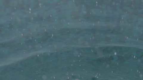 Relaxing in The Rain