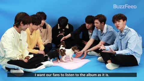 yt1s youtube downloader BTS Plays With Puppies While Answering Fan Questions