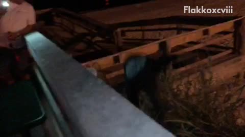 Guy tries to jump up ledge falls off into bush sand