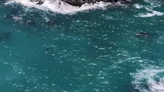 Have you ever seen a waterfall meet the sea?