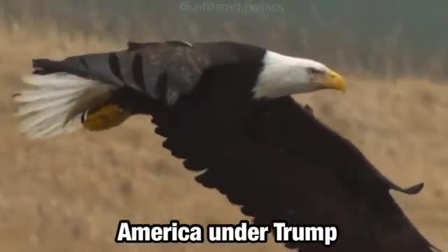 USA under Trump