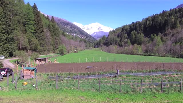 Uova in montagna - allevamento di galline ovaiole ruspanti