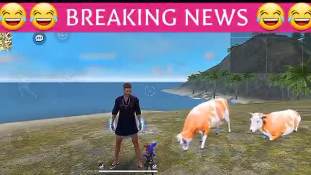 free fire funny news video free fire funny video free fire comedy video