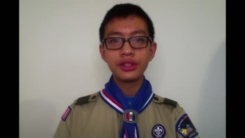 The Making of The USA Constitution by Minh-Vien Scout BSA Troop 881 Springfield, VA