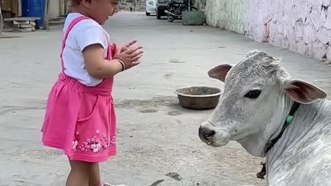 Baby and cow