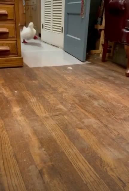 I run to work in the morning