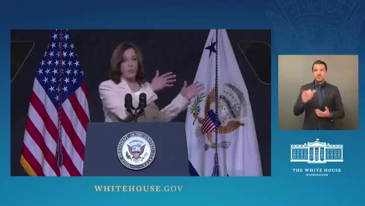 VP Camel toe: 'For the assault weapon, the design is to kill a lot of human beings quickly.' 🙃🤪