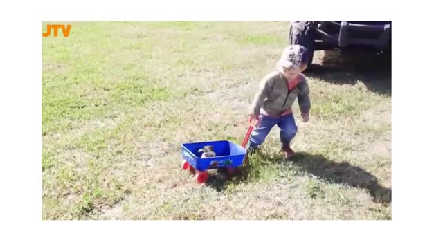 cute babies playing with funny cats