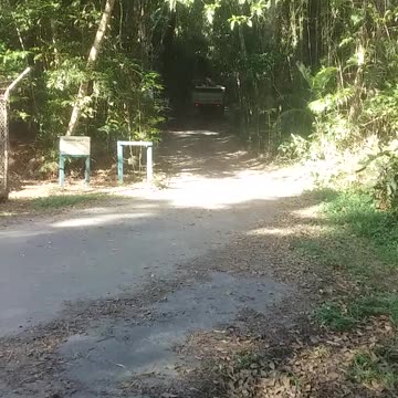 13.9.2024 Action (2)