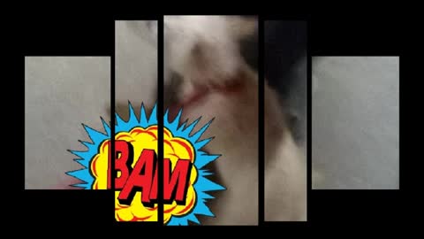 funny video