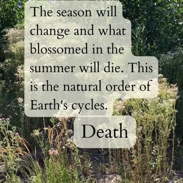 Tarot Readings From Nature