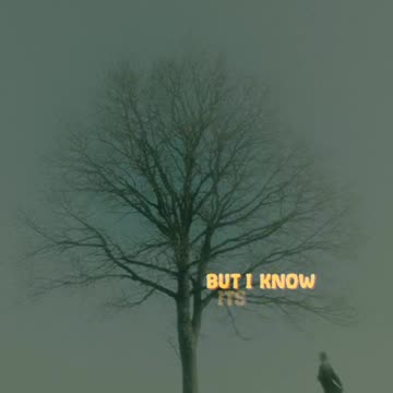 If You Know That I'm Lonely..