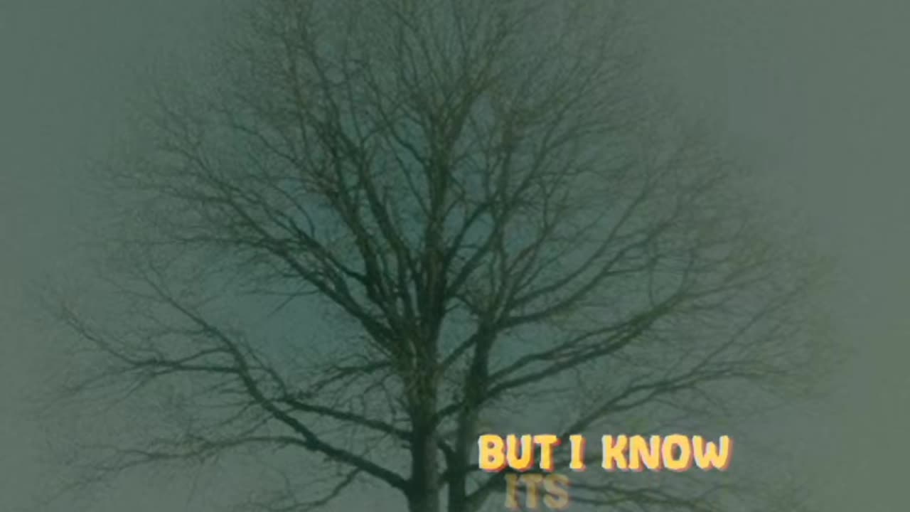 If You Know That I'm Lonely..